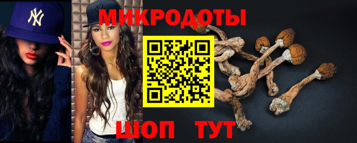 Псилоцибиновые грибы Psilocybe Кингисепп